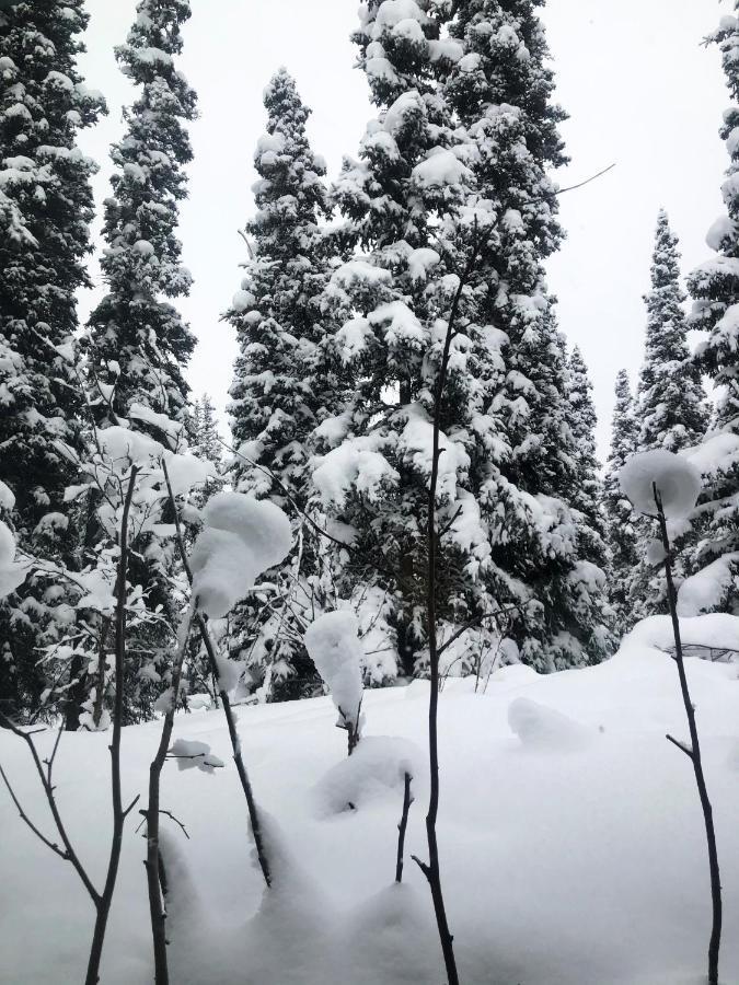Aurora Denali Lodge ヒーリー エクステリア 写真